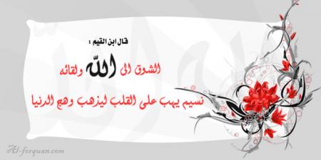 ���� �� ���� 