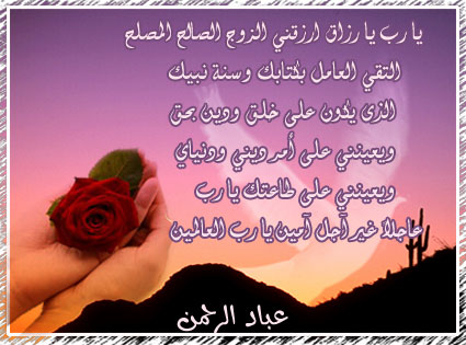 ������ ���