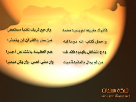 �� ����� ������