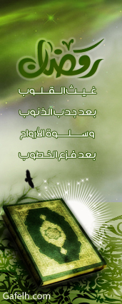 ��� ��� ����