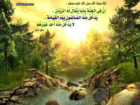  &Ccedil;&aacute;&Otilde;&Ccedil;&AElig;&atilde;&aelig;&auml; 