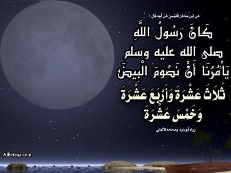 ���� ������� �����