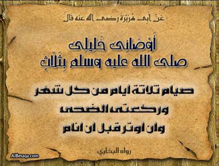 ������ �����