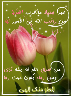 ���� ����